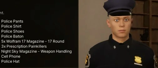 警察强化版 v0.22h18-VEIN中文模组网